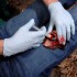 Аппликатор гемостатический с гранулами Rhino Rescue в Казани хитозановый